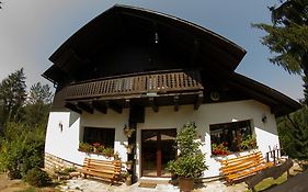 Pension Cabana Ionela