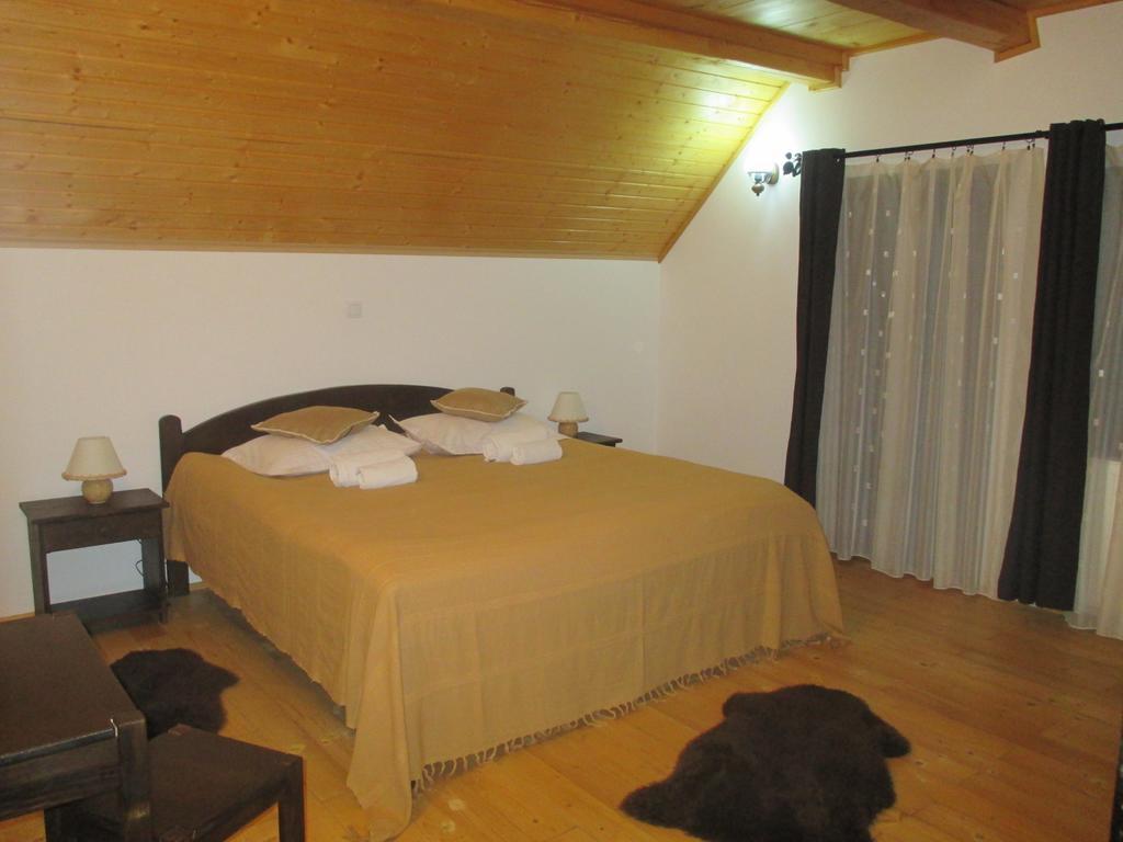 Pension Cabana Ionela Vama  Cameră foto
