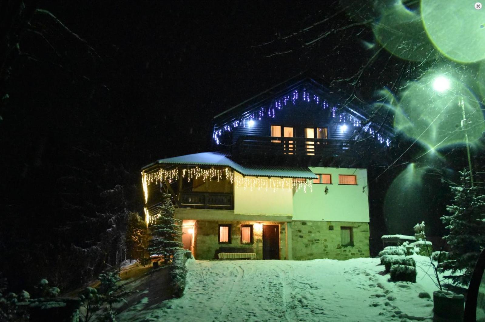 Pension Cabana Ionela Vama  Exterior foto